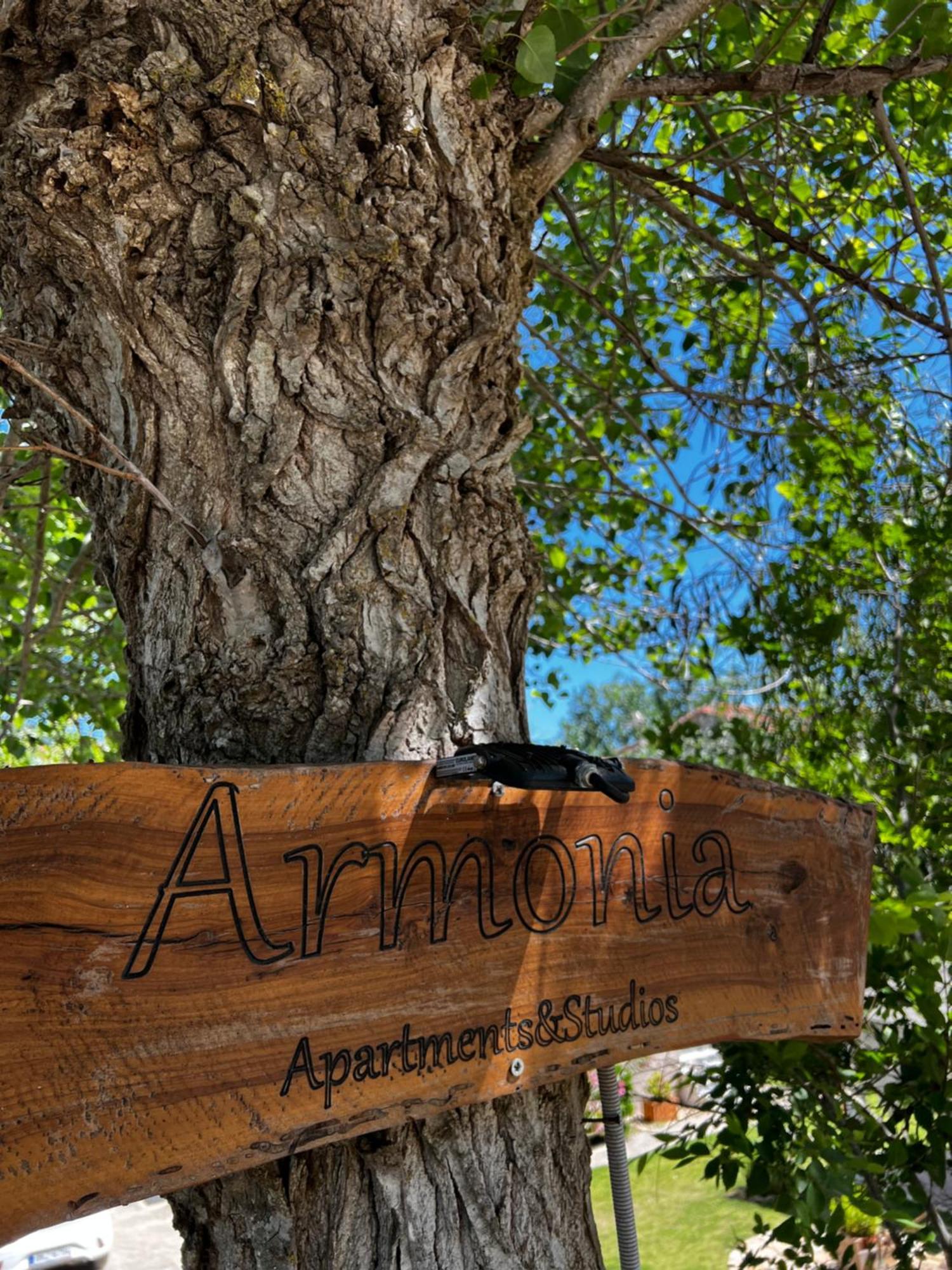 Armonia Apartments & Studios Perivólion Exteriér fotografie
